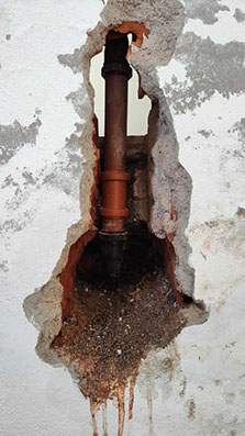 Machuca Gasista - Plomero